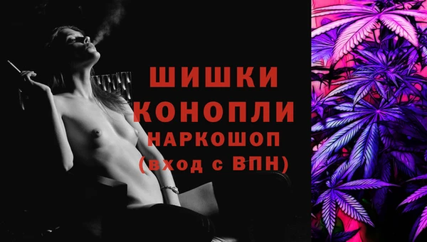 прущие крисы Надым
