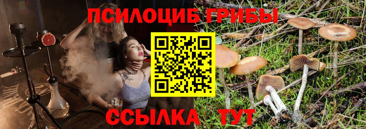 Уварово  Псилоцибиновые грибы ЛСД  Псилоцибиновые грибы Psilocybine cubensis  Вход с VPN 