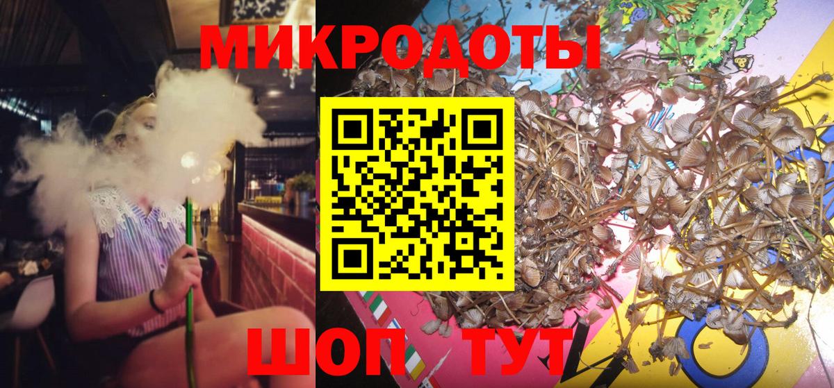 Псилоцибиновые грибы Psilocybine cubensis  Уварово  Галлюциногенные грибы ЛСД 